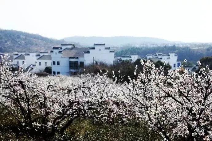 梦想之森