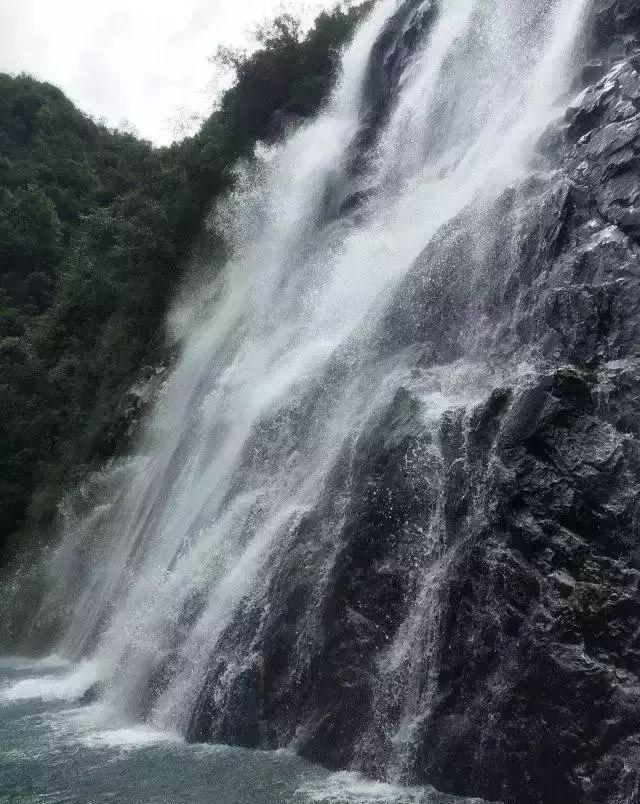 金刚鹦鹉逃生